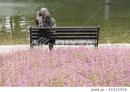 Back side of muslim woman taking photos 43325459