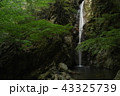 日本の滝_兵庫県_独鈷の滝 43325739