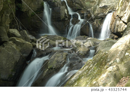 日本の滝_兵庫県_尼ン滝 日本の滝_兵庫県_尼ン滝 43325744