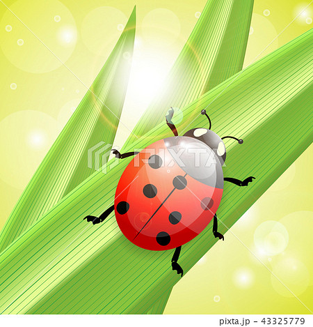 Ladybug an a blade of grass, illustration 43325779