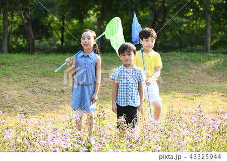 人 人間 韓国 43325944