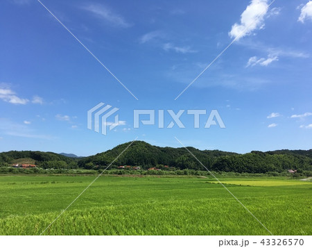 田園風景 美祢市秋芳町 43326570