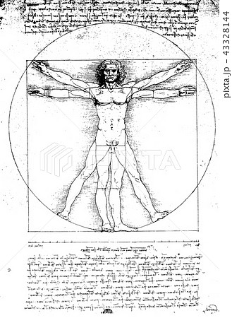 Anatomy art 43328144