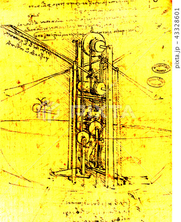 14th century anatomy art by Leonardo Da Vinci    43328601