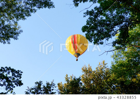 The view on balloons are over Olexandria Park The view on balloons are over Olexandria Park 43328855