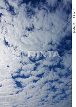 秋の空（ひつじ雲） 43329386