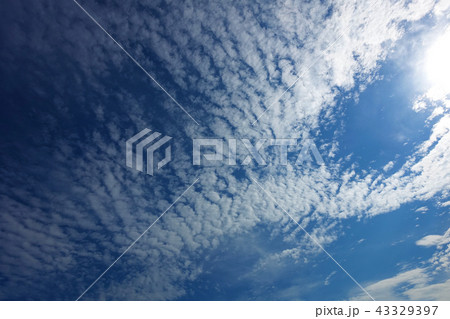 秋の空(ひつじ雲) 秋の空(ひつじ雲) 43329397