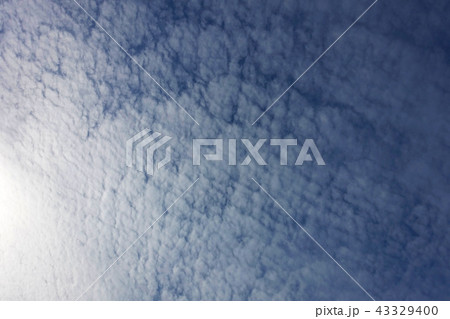 秋の空(ひつじ雲) 秋の空(ひつじ雲) 43329400