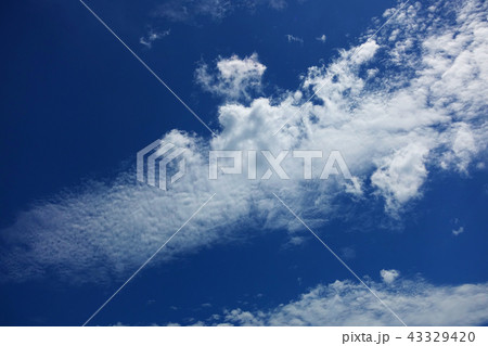 秋の空(ひつじ雲) 秋の空(ひつじ雲) 43329420