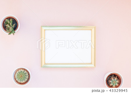 Frame mock up with decorative cactuses 43329945