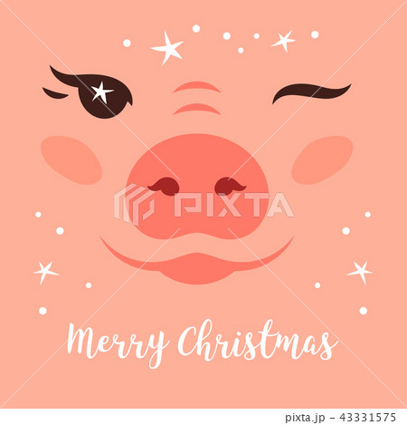 Merry Christmas Card, Funny Christmas pig. Cute pig wink. Flickering Christmas stars. Happy Holidays 43331575