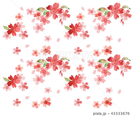 桜 43333676