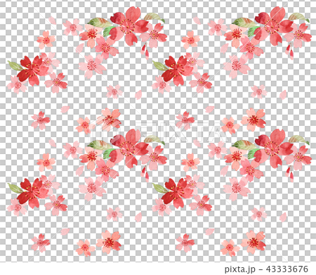 桜 43333676