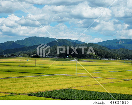 豊岡の田園風景 43334619