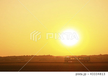 夕陽と常総線 43334813