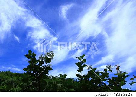 青空と雲 43335325