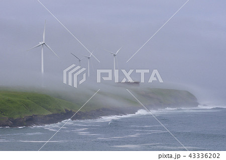 海霧（北海道） 43336202