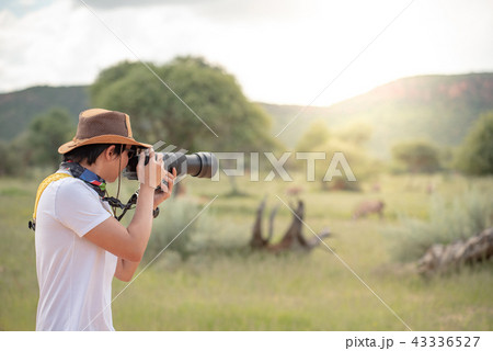 Male traveler taking photo of wildlife animals 43336527