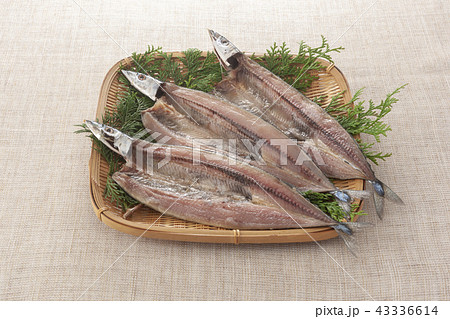 さんまの開き 43336614
