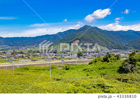 山梨県勝沼ぶどう郷の風景 43336810