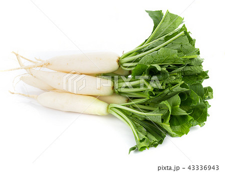 fresh white radish isolated on white background 43336943