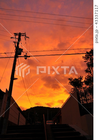 夕焼け色 夕焼け色 43337117