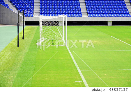 緑の天然芝が美しいサッカースタジアムの風景 緑の天然芝が美しいサッカースタジアムの風景 43337137
