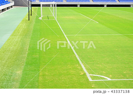 緑の天然芝が美しいサッカースタジアムの風景 緑の天然芝が美しいサッカースタジアムの風景 43337138