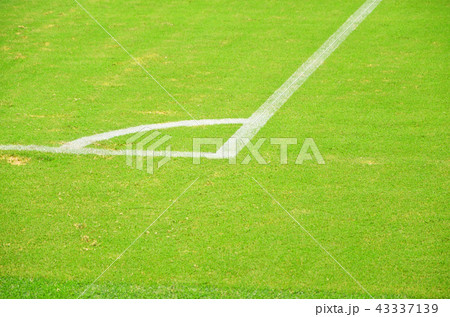 緑の天然芝が美しいサッカースタジアムの風景 43337139