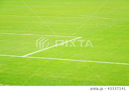 緑の天然芝が美しいサッカースタジアムの風景 緑の天然芝が美しいサッカースタジアムの風景 43337141