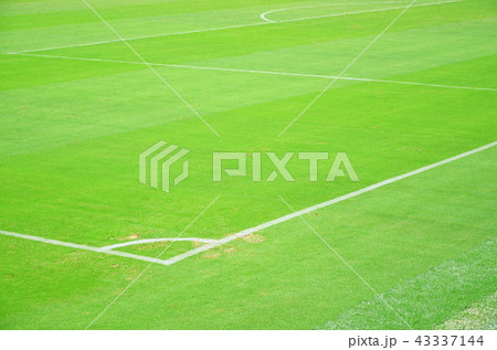 緑の天然芝が美しいサッカースタジアムの風景 43337144