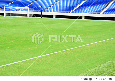 緑の天然芝が美しいサッカースタジアムの風景 緑の天然芝が美しいサッカースタジアムの風景 43337146