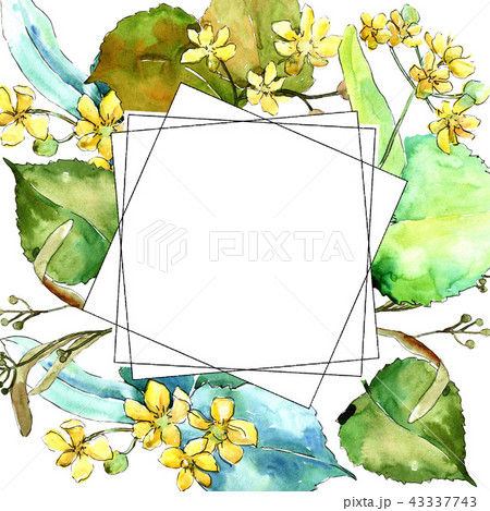 Watercolor Linden Green Leaves Leaf Plant のイラスト素材