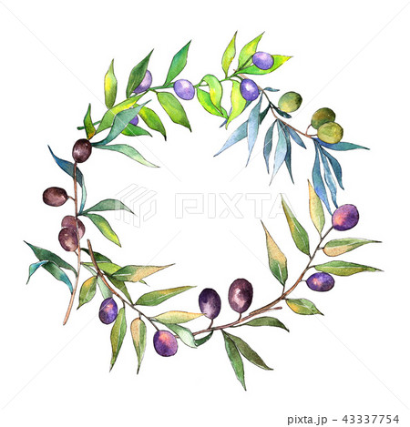Olive tree in a watercolor style. Frame border ornament square. Olive tree in a watercolor style. Frame border ornament square. 43337754