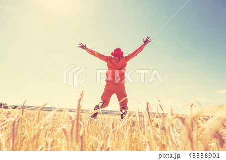 Wheat field 43338901