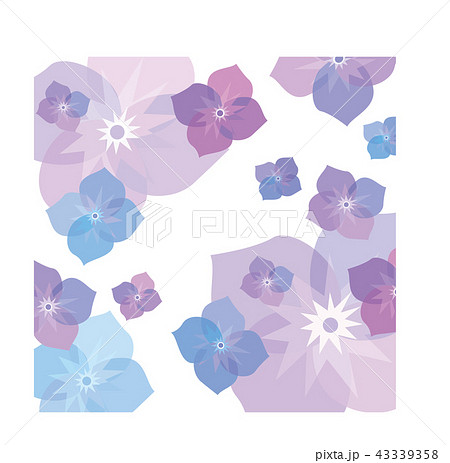 紫の花柄 43339358