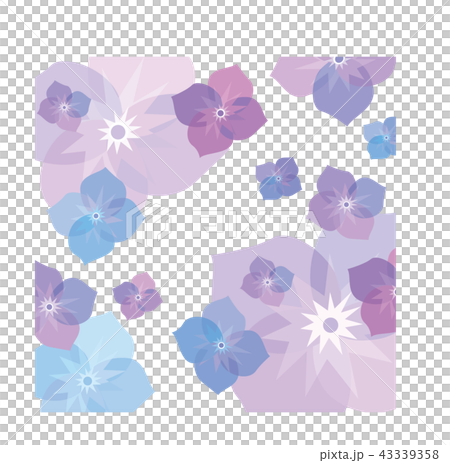 紫の花柄 43339358