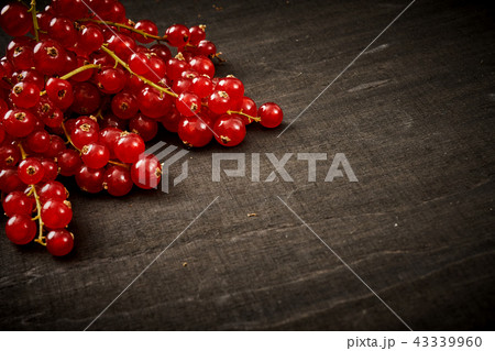 juicy red currant on an old black wooden table juicy red currant on an old black wooden table 43339960