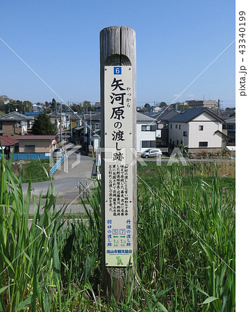 江戸川の矢河原の渡し跡 江戸川の矢河原の渡し跡 43340199