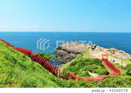 山口県 元乃隅稲成神社と日本海 山口県 元乃隅稲成神社と日本海 43340579