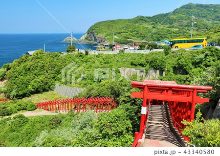 山口県　元乃隅稲成神社 43340580