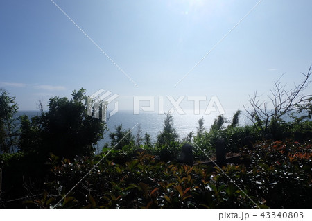 三浦半島　初夏　海　陽射し　青空 43340803