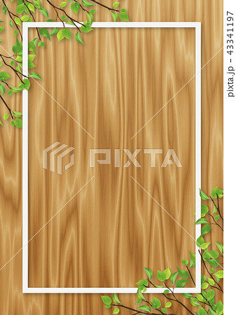 新緑　葉　白いフレーム　オーク色　木目 43341197