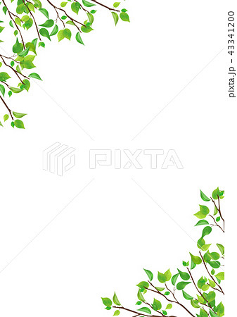 新緑 葉 緑 背景 Png 切り抜き素材 のイラスト素材 43341200 Pixta