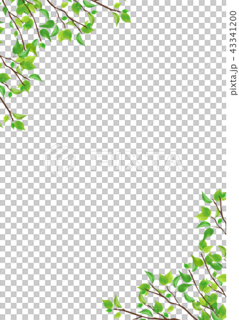 Fresh green leaves green background (PNG, cutout material) 43341200