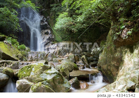 御手洗の滝(第1の滝)(佐賀県鳥栖市) 御手洗の滝(第1の滝)(佐賀県鳥栖市) 43341542