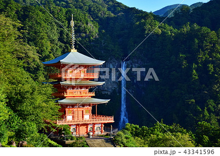 熊野那智大社 那智大滝 & 青岸渡寺 三重塔 (和歌山県 東牟婁郡 那智勝浦町 ) 熊野那智大社 那智大滝 & 青岸渡寺 三重塔 (和歌山県 東牟婁郡 那智勝浦町 ) 43341596