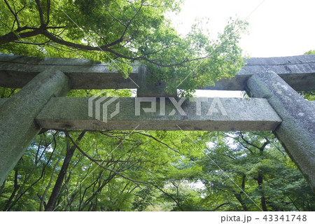 宝満宮竈門神社の鳥居(福岡県太宰府市) 宝満宮竈門神社の鳥居(福岡県太宰府市) 43341748