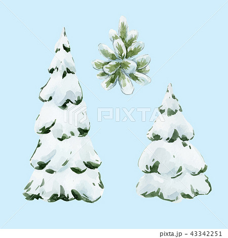 Watercolor fir tree christmas vector illustration 43342251