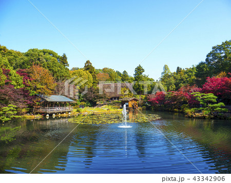 秋の東山動植物園 秋の東山動植物園 43342906